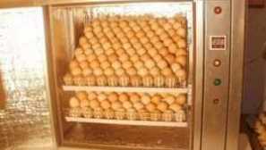 Jak udělat inkubátor s vlastními rukama